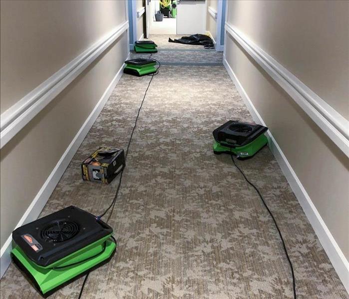 Air movers on the carpet