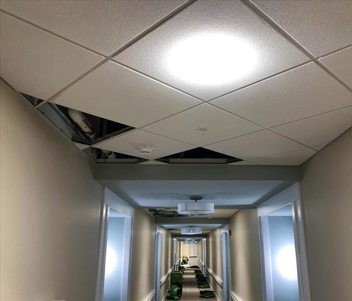 Ceiling leak caused water damage